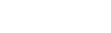 Smart Dora logosu