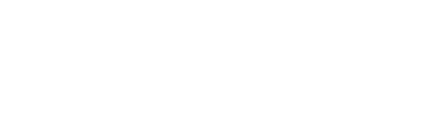 PlayX logosu